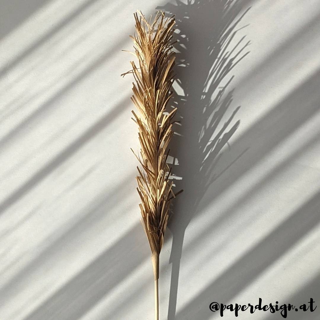 Pampas aus Papier handgemacht Boho Blätter Paperdesign Pampas aus Papier handgemacht Boho Blätter Paperdesign