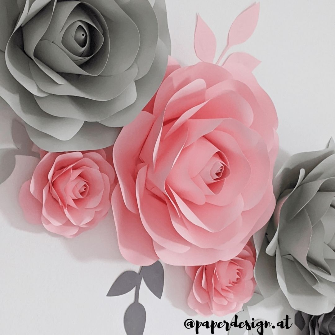 Rosenwand Blumenwand Paperdesign
